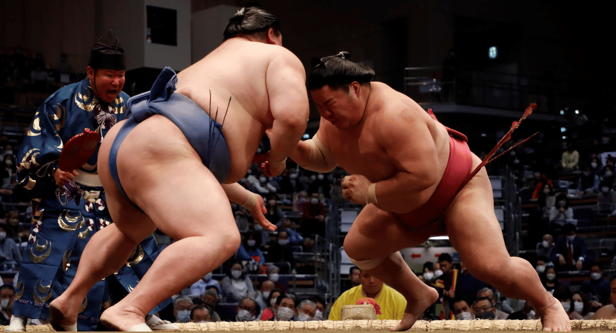 【ぼかし】○Sumo at the Royal Albert Hall 2025 Crown Partner0909